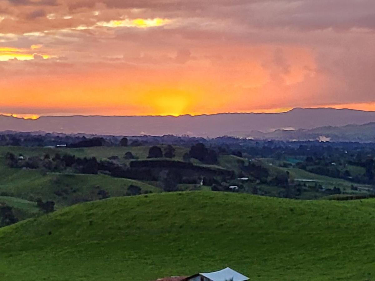 Sunset Cottage Tauranga Extérieur photo